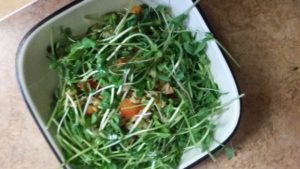 Rice Bowl With Salad Shoots